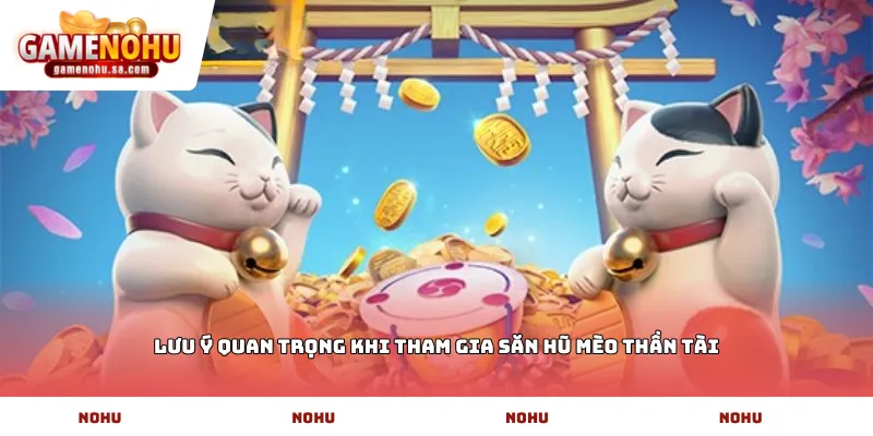 Lưu ý quan trọng khi tham gia săn hũ mèo thần tài